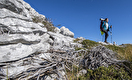 HIGHLANDER VELEBIT